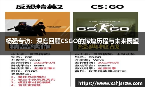 杨强专访：深度回顾CSGO的辉煌历程与未来展望